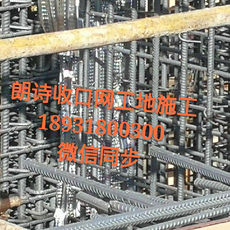 mmexport1517206002833_mh1517207264921